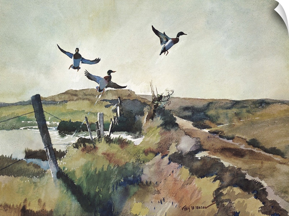 Contemporary watercolor painting of birds taking off into flight.