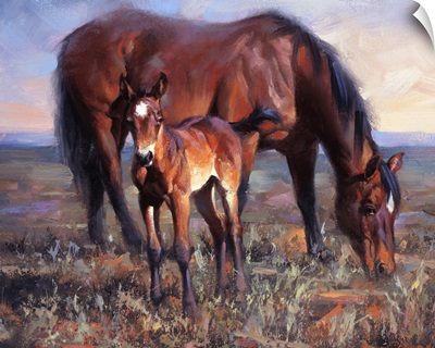 The Bay Filly