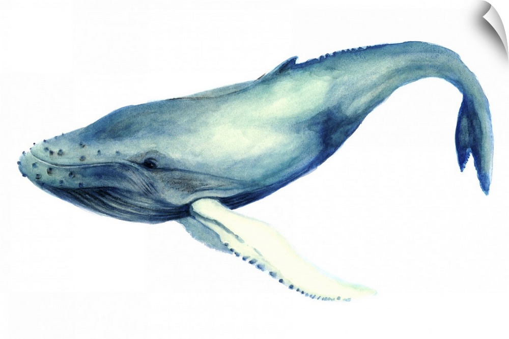 Painting of a large whale on a white background.