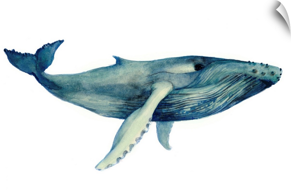 Painting of a large whale on a white background.