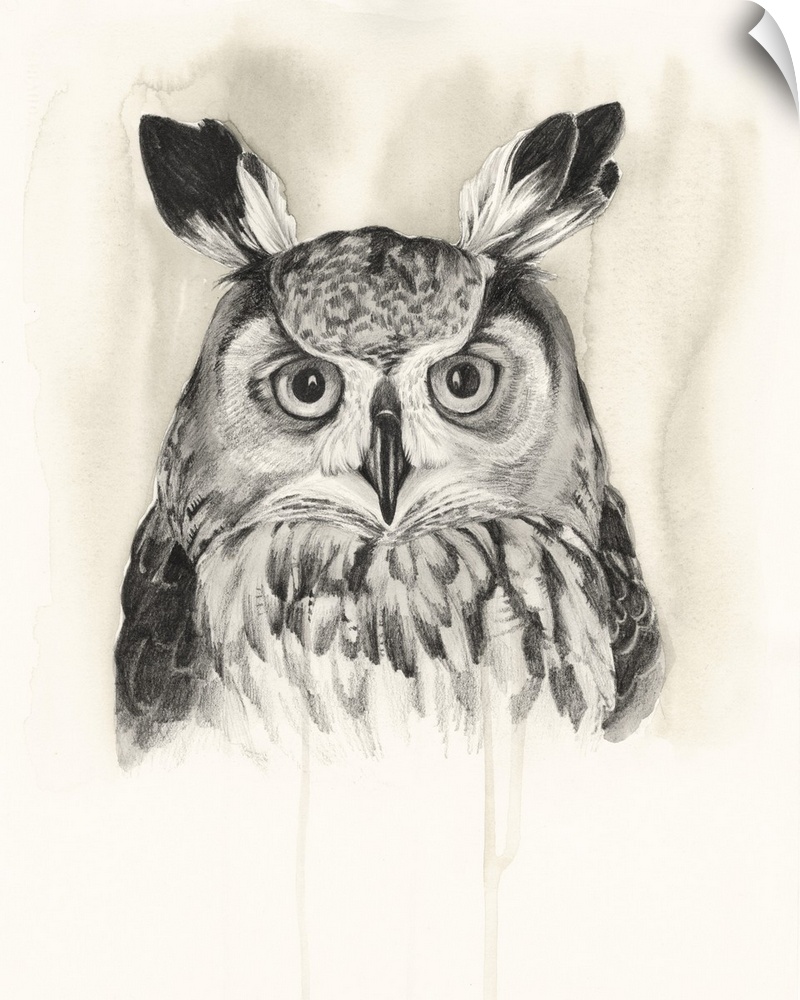 Watercolor portrait of an owl in neutral hues.