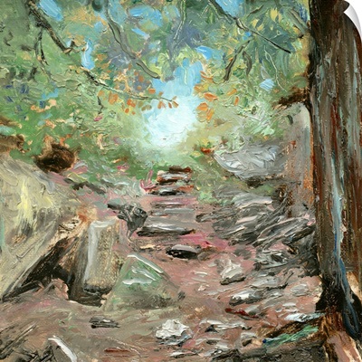 Trail In Woods