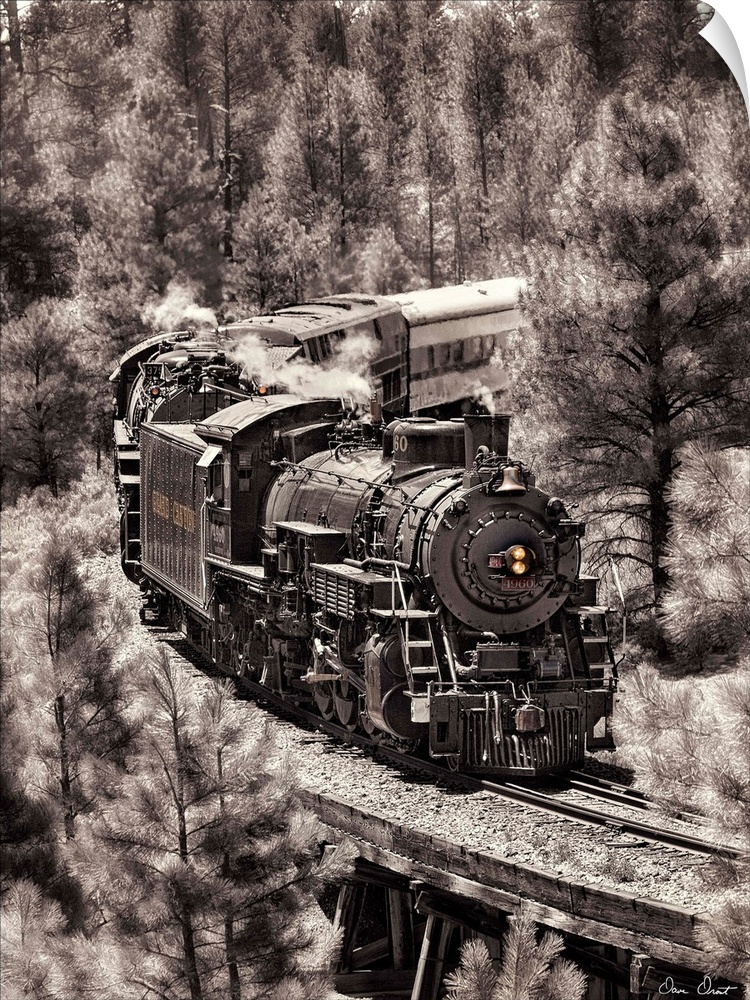 Photograph of a locomotive train riding through a forest altered to a vintage effect.