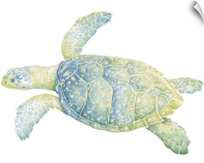 Tranquil Sea Turtle II