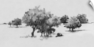 Treeline Sketch II