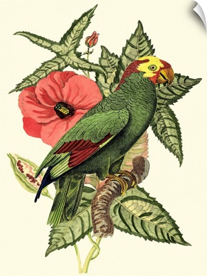 Tropical Birds and Botanicals I