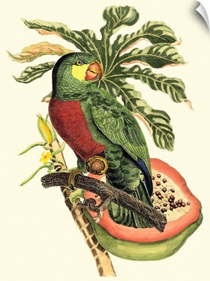 Tropical Birds and Botanicals II