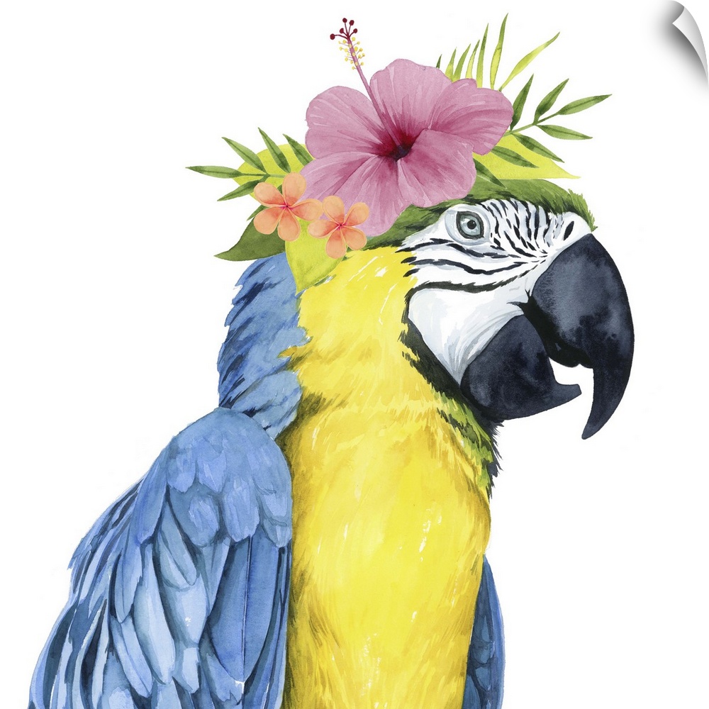 This decorative artwork features an adorable parrot over a white background with a tropical flower crown on its head.