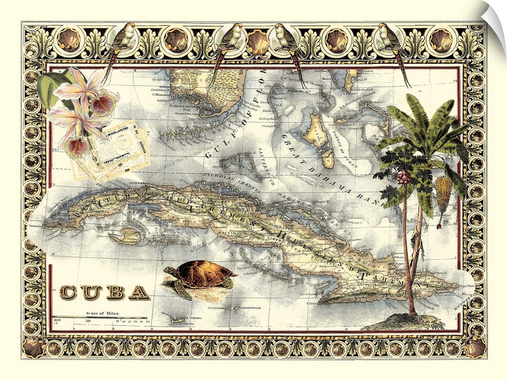 Tropical Map of Cuba