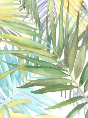 Tropical Pattern II