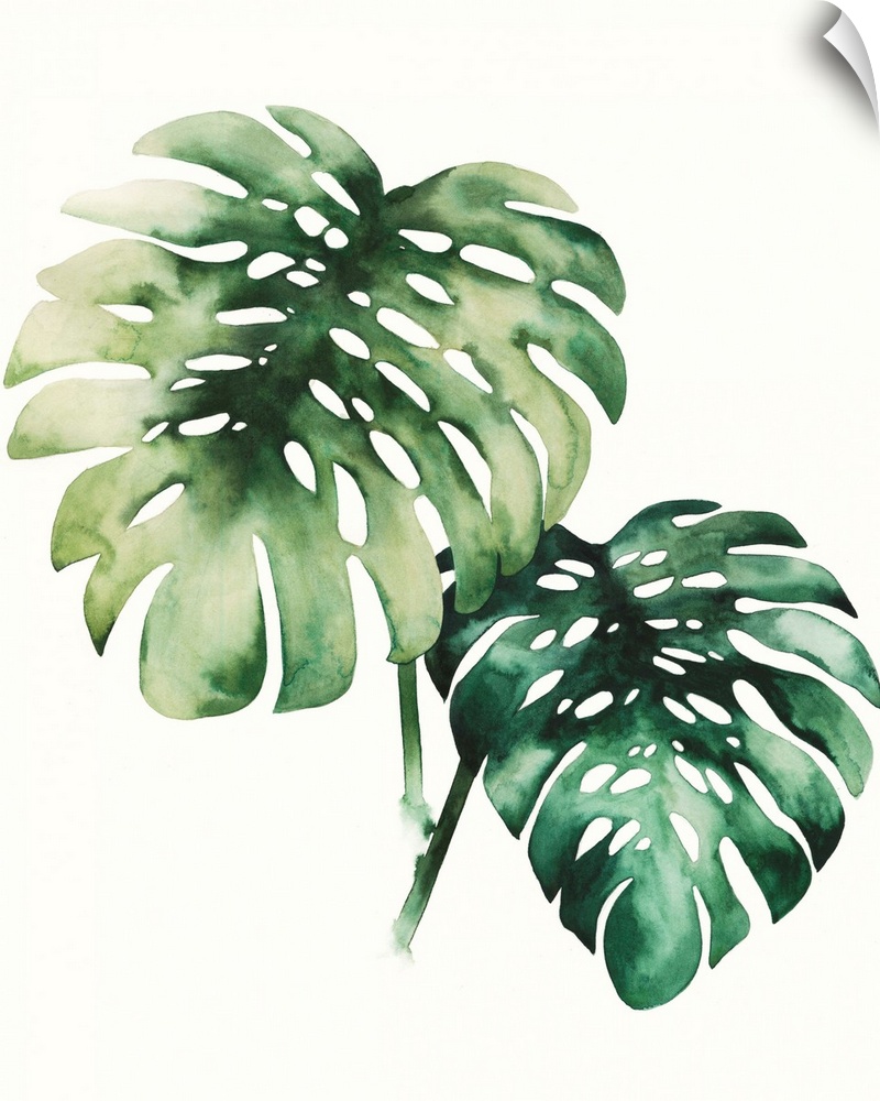 Watercolor artwork of two broad green palm fronds.