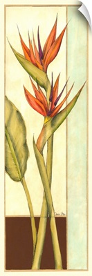 Tropicana Botanical II