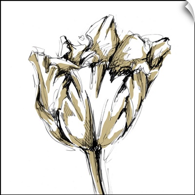 Tulip Sketch I