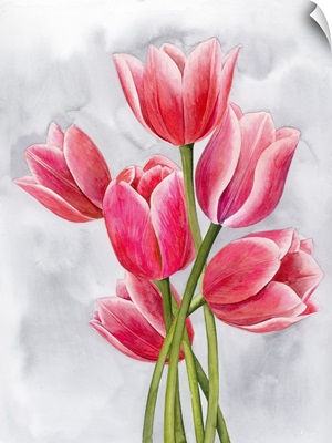 Tulip Tangle I