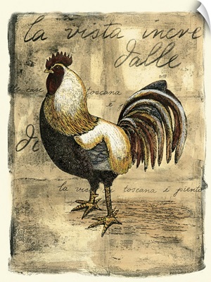 Tuscany Rooster II