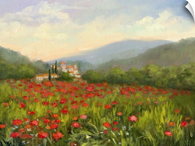 Umbrian Poppy Field