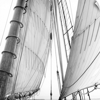 Under Sail II