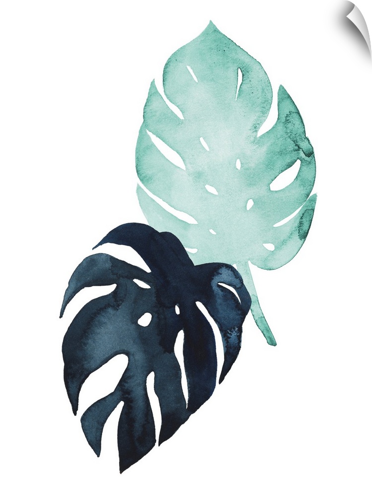 Watercolor artwork of leafy green palm fronds on white.