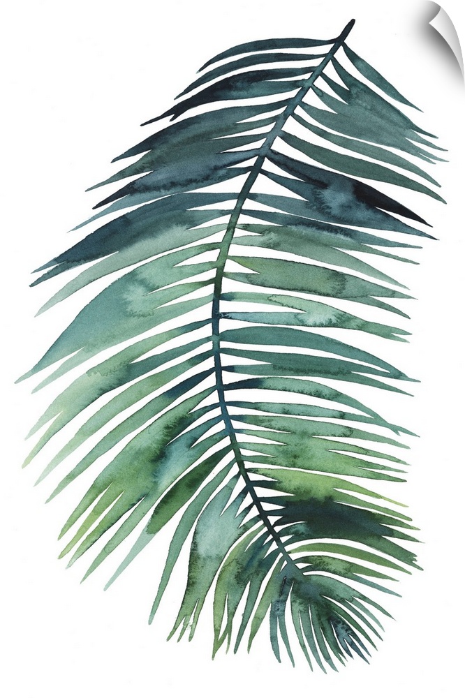 Simple watercolor illustration of a green palm frond on white.