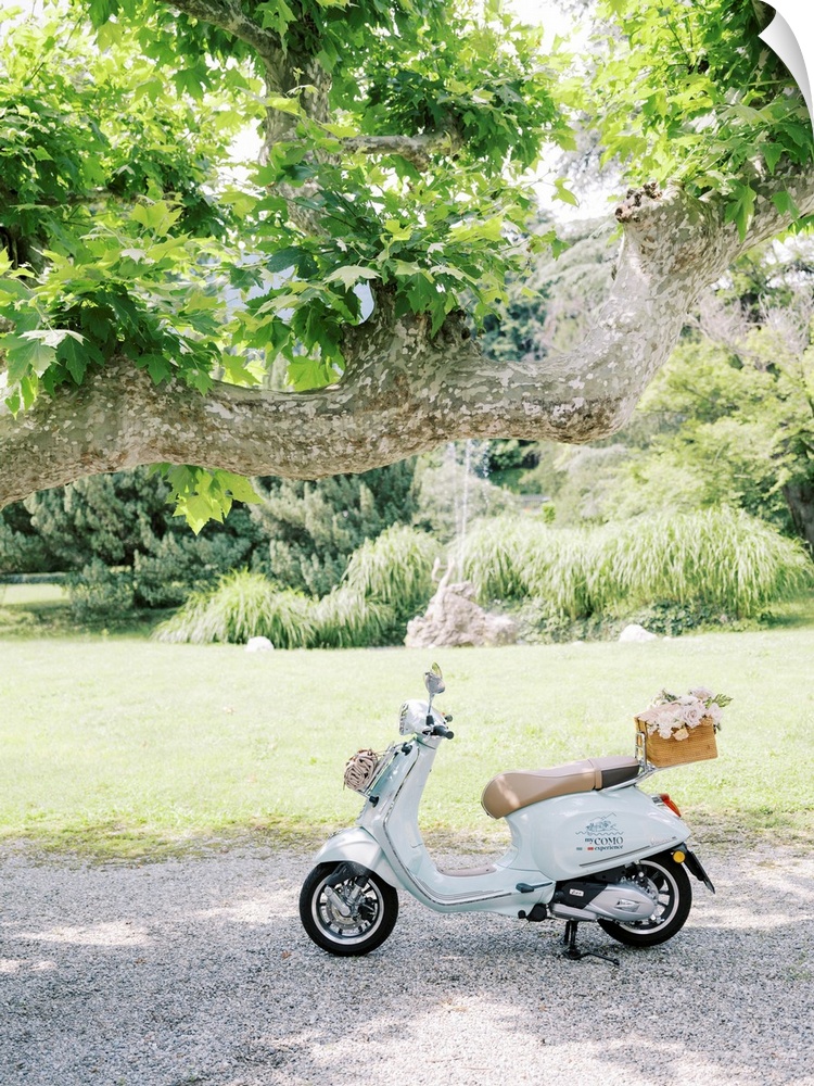 A photograph of a pale blue motor scooter with a basket of flowers on the back parked underneath a tree in a lush garden s...