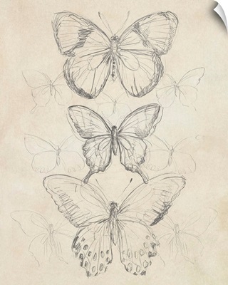 Vintage Butterfly Sketch I