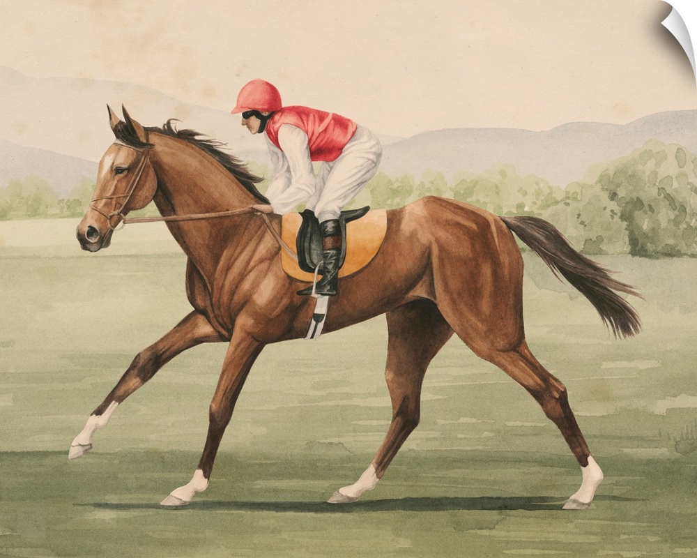Vintage Equestrian I
