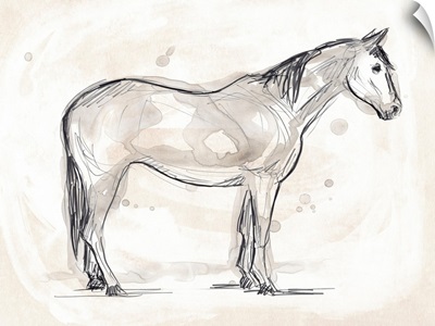 Vintage Equine Sketch II