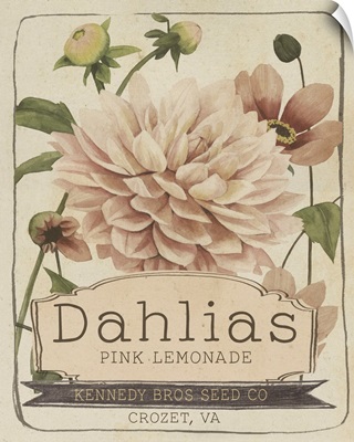 Vintage Seed Packets IV