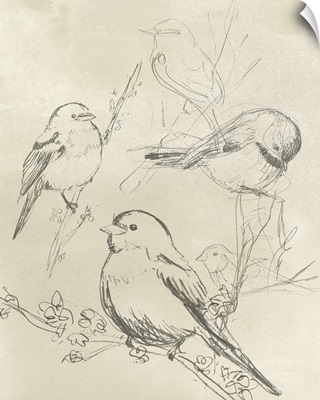 Vintage Songbird Sketch II