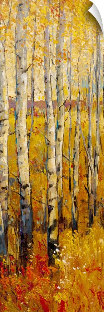 Oversized, vertical contemporary painting of a dense forest of birch trees in the fall, with golden leaves and foliage abo...