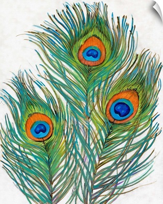 Vivid Peacock Feathers II