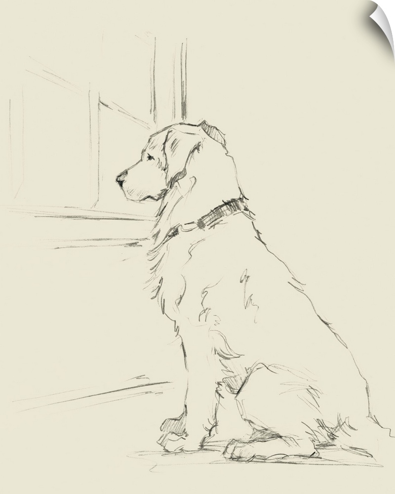 Sketch of a golden retriever waiting at a window for its owner to come home.