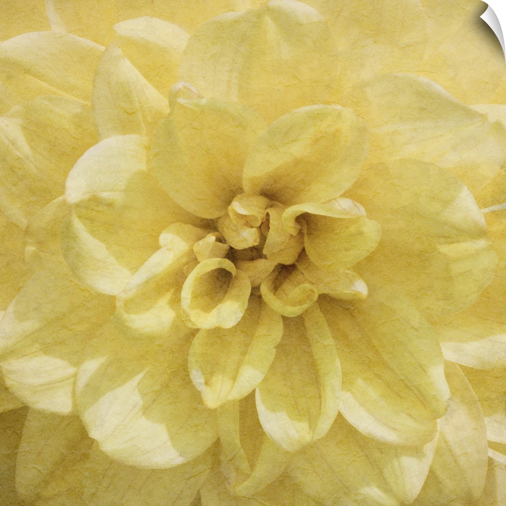 Flowers in shades of yellow fill this decorative art edge to edge.