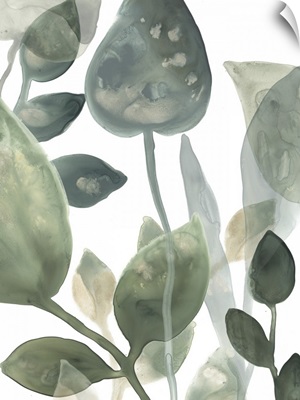Water Leaves I