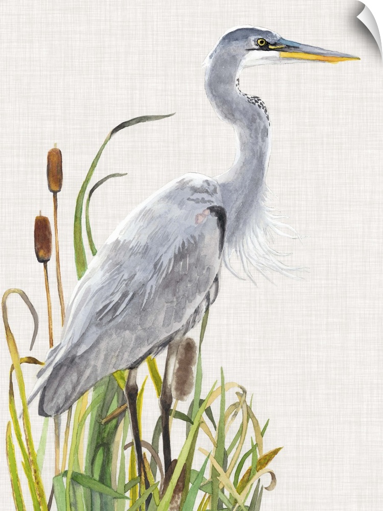 Painting of a heron standing in tall reeds.