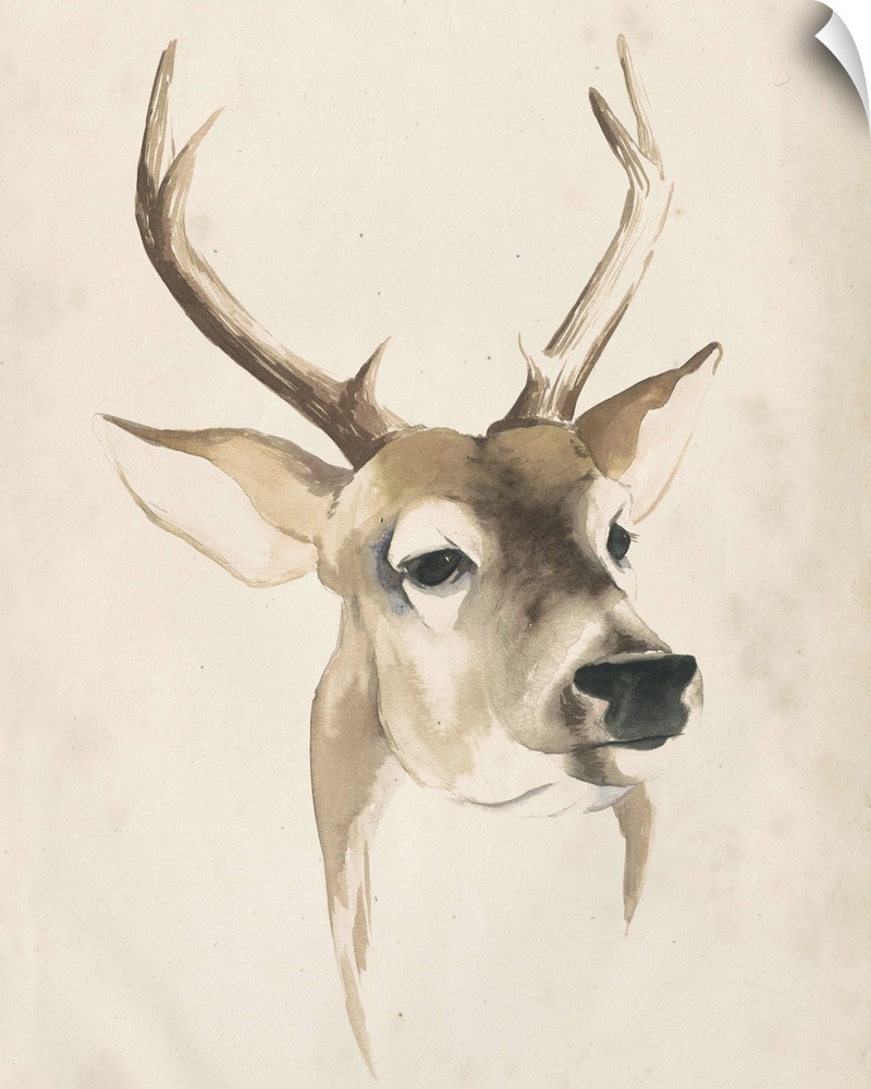 Watercolor painting of a deer with large antlers.