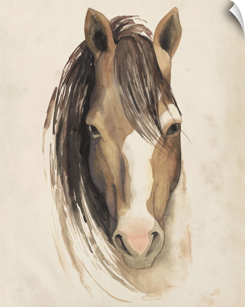 Watercolor painting of a horse with a white blaze on its nose.