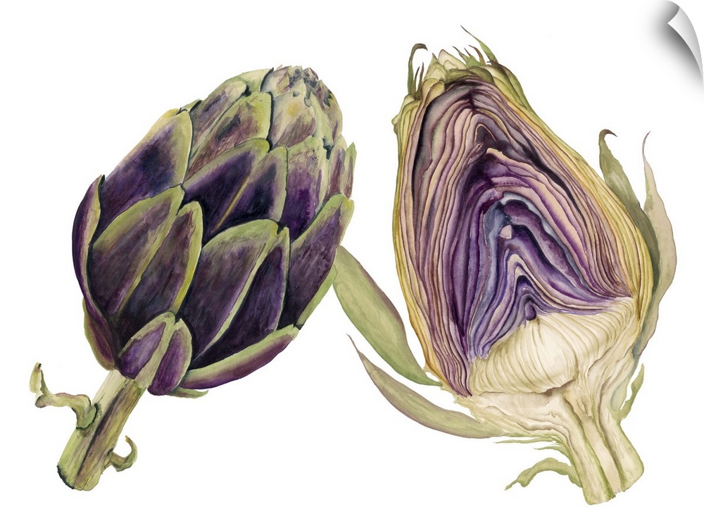 Watercolor painting of a whole and halved artichoke against a white background.