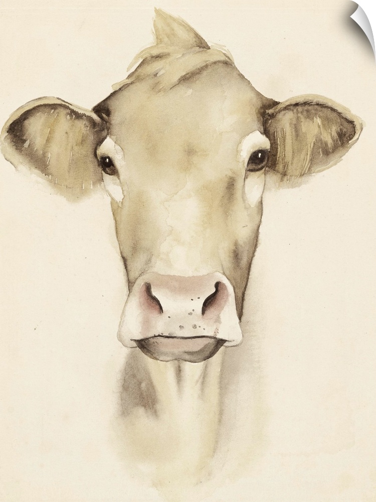 Watercolor portrait of a cow in sepia tones.