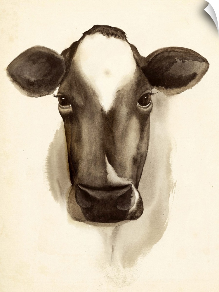 Watercolor portrait of a cow in sepia tones.