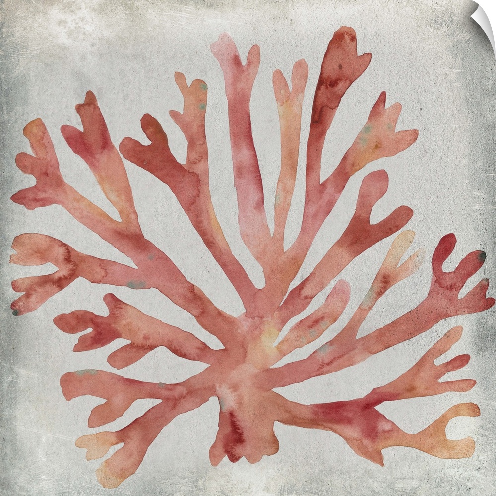 Watercolor painting of coral against a neutral background.