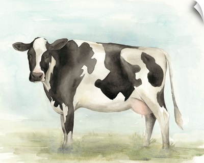 Watercolor Cow II
