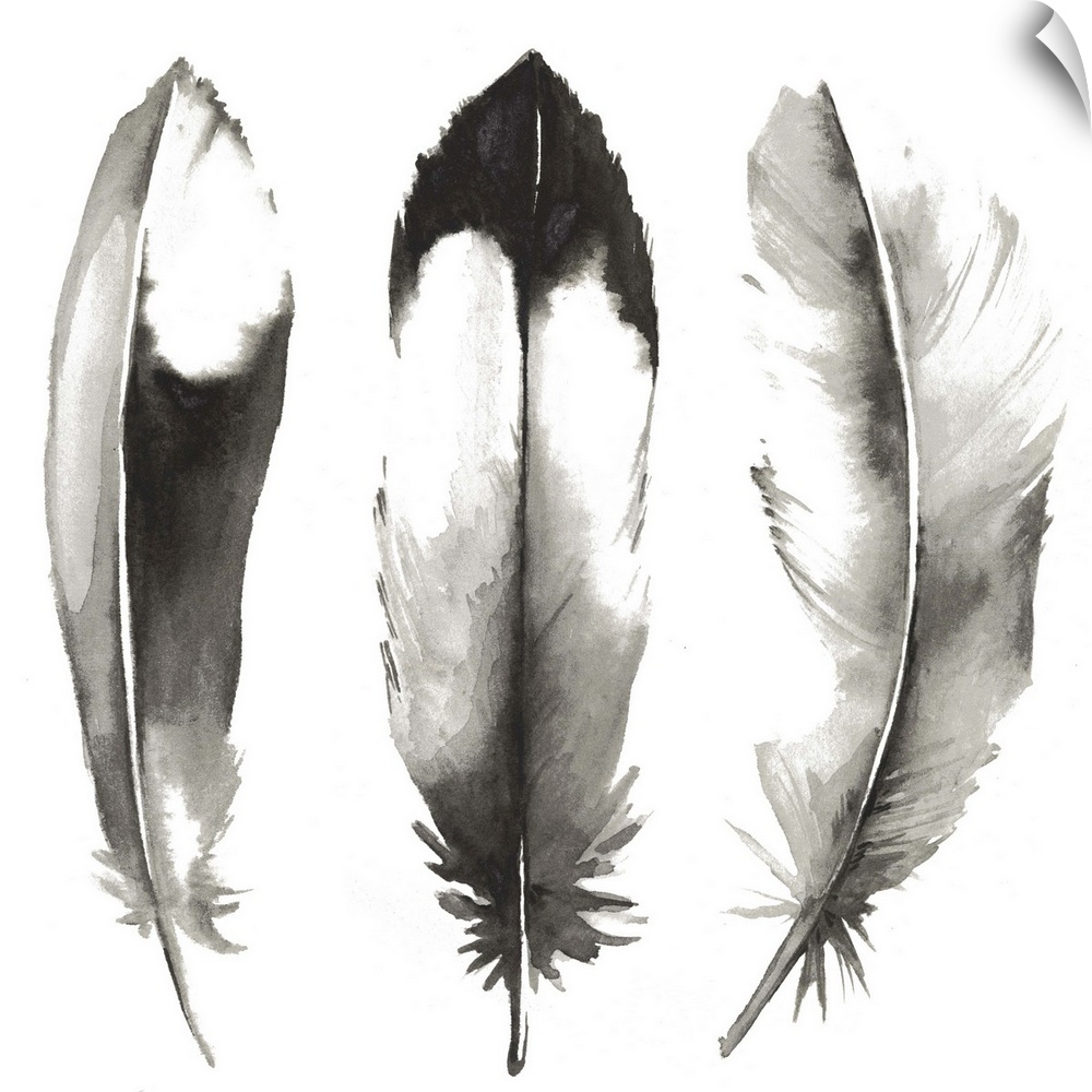 Contemporary watercolor feathers against a white background.