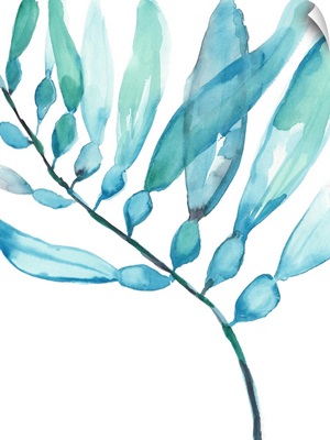 Watercolor Kelp II
