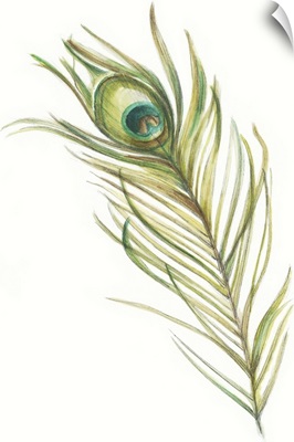 Watercolor Peacock Feather I