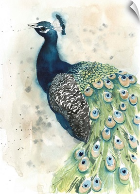 Watercolor Peacock Portrait II