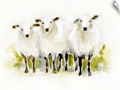 Watercolor Sheep Trio I