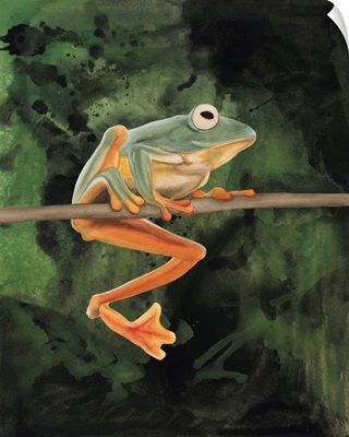 Watercolor Tree Frogs I