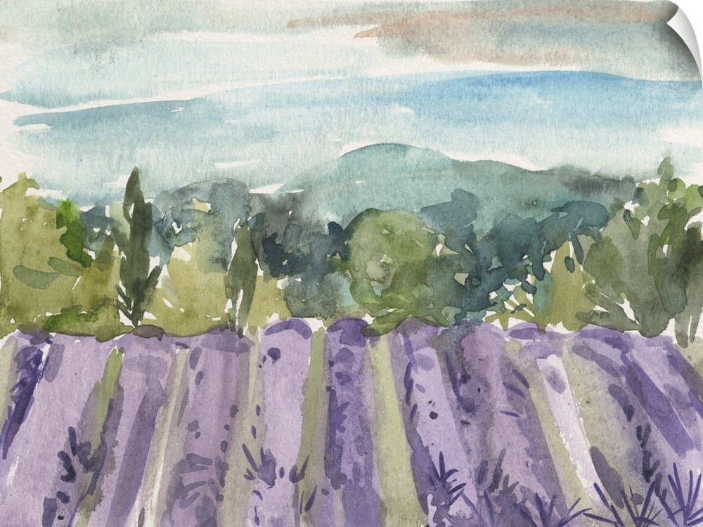 Contemporary watercolor landscape of a field of purple wildflowers.