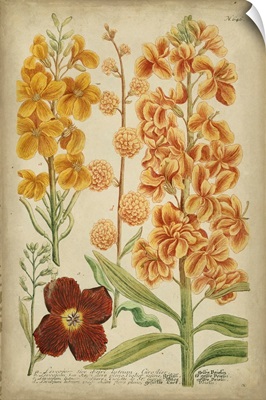 Weinmann Tropical Floral I